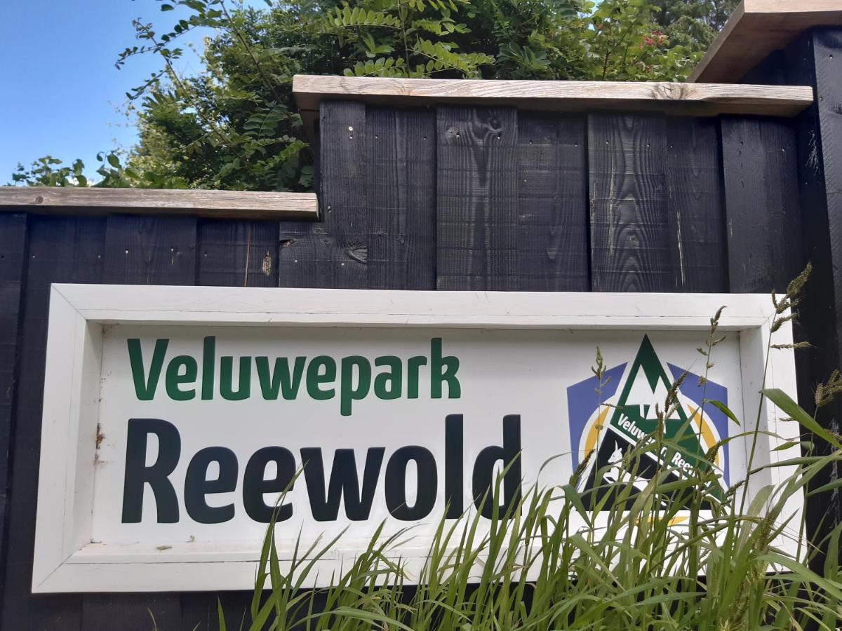Genieten Op De Veluwe Van Rust En Natuur Putten Luaran gambar